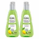 Bild 1 von Guhl Shampoo Frische & Leichtigkeit 250 ml, 4er Pack