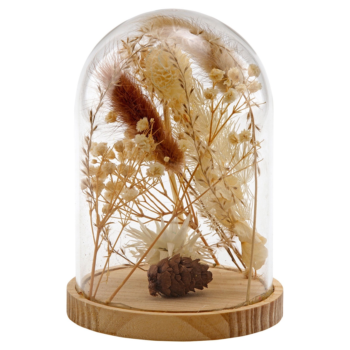 Bild 3 von CASA DECO Trockenblumen im Glas