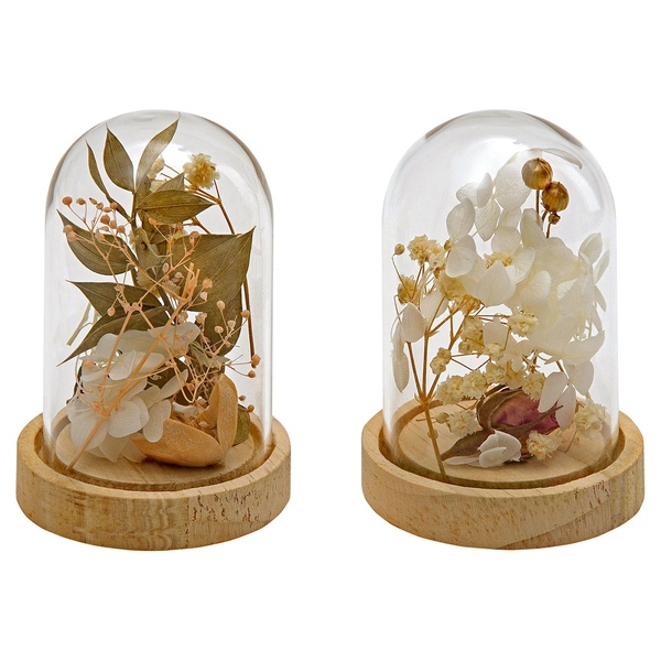 Bild 4 von CASA DECO Trockenblumen im Glas