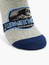 Bild 3 von Jurassic World 3er Pack Socken