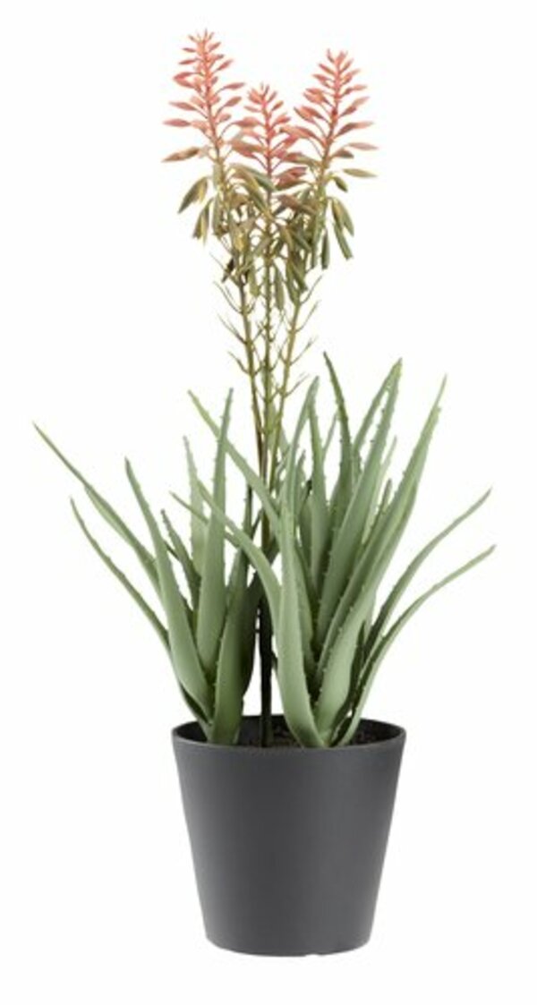 Bild 1 von Kunstpflanze RASMUS H51cm m/Blumen