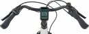 Bild 3 von Prophete E-Bike GENIESSER 23.EMC.10, 7 Gang Shimano Nexus Schaltwerk, Nabenschaltung, Mittelmotor 250 W