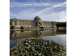 The Names - IN MUTATION - (CD)