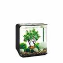 Bild 2 von biOrb Decor Set Jahreszeiten 30L Winter