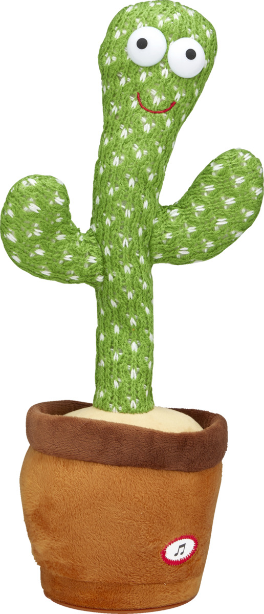 Bild 1 von IDEENWELT Wackelkaktus