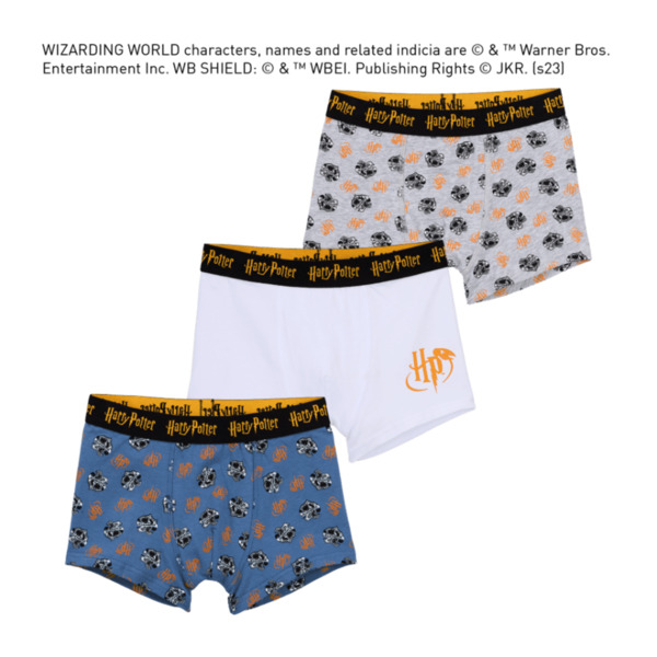 Bild 4 von Slips / Retropants