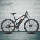 Bild 2 von PROPHETE 
                                            E-Mountainbike Graveler 29", 8-Gang