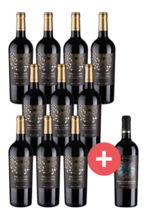 10er-Paket Miluna Primitivo di Manduria + GRATIS Riserva - Weinpakete