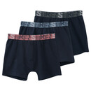 Bild 1 von 3 Jungen Boxer mit Webbund