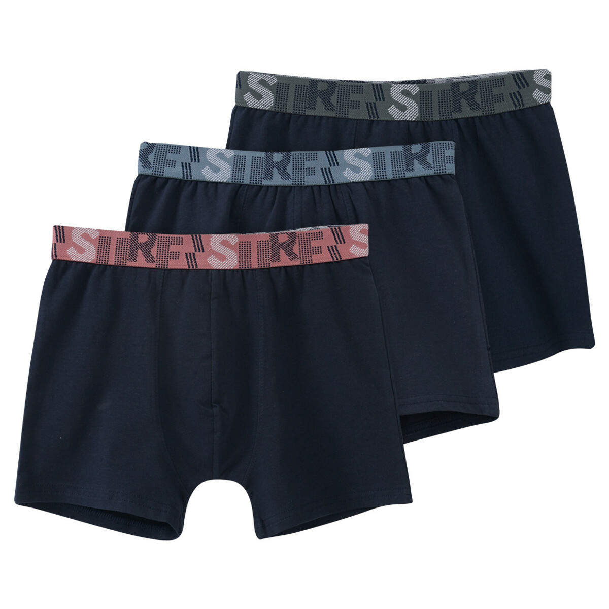 Bild 1 von 3 Jungen Boxer mit Webbund