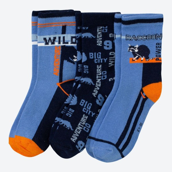 Bild 1 von Jungen-Socken mit Waschbär-Design, 3er-Pack