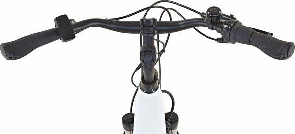 Bild 4 von Prophete E-Bike Prophete Geniesser InsideOne, 7 Gang Shimano Nexus Schaltwerk, Nabenschaltung, Frontmotor 250 W