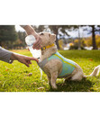 Bild 3 von RUFFWEAR® Hunde-Kühlweste Swamp Cooler Zip™ Vest Aurora Teal Mist Blue