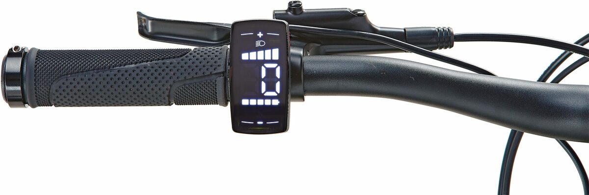 Bild 4 von Prophete E-Bike Graveler 22.EMM.10, 9 Gang Shimano Alivio Schaltwerk, Kettenschaltung, Heckmotor 250 W