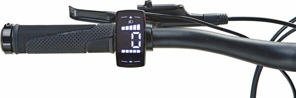 Bild 4 von Prophete E-Bike Graveler 22.EMM.10, 9 Gang Shimano Alivio Schaltwerk, Kettenschaltung, Heckmotor 250 W