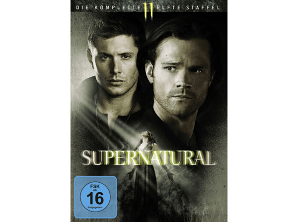 Bild 1 von Supernatural: Die komplette 11. Staffel [DVD]
