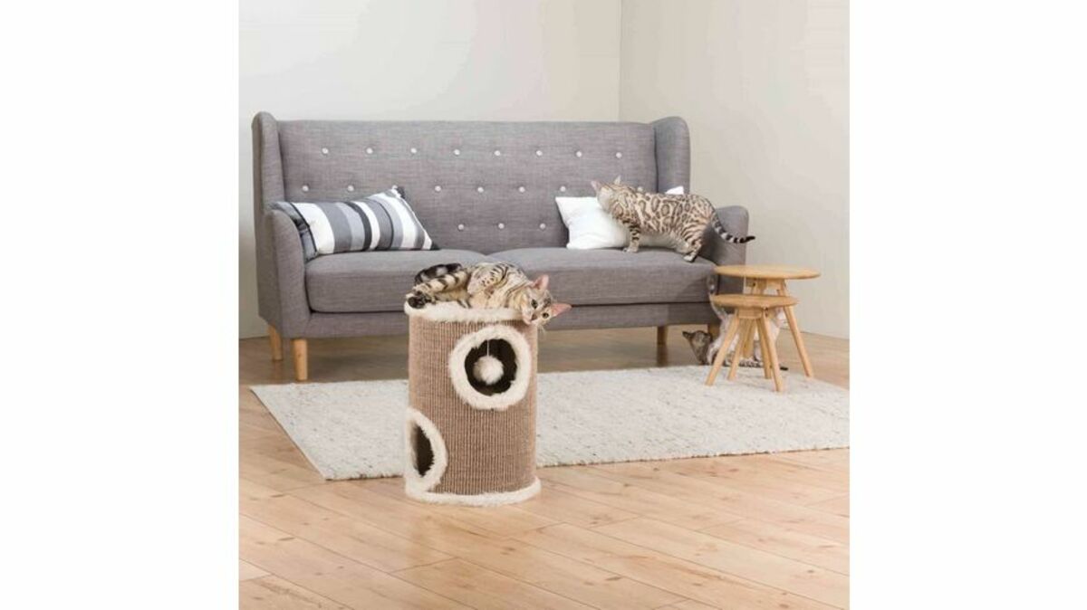 Bild 1 von Trixie Cat Tower Edoardo braun/beige 50 cm Katzen Kratzgelegenheit