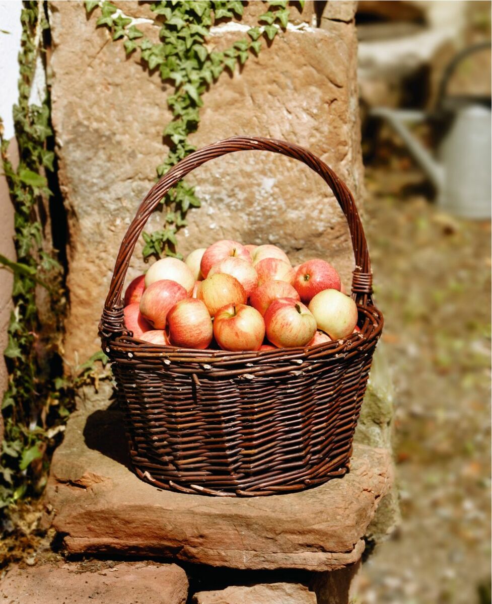 Bild 1 von HomeLiving Bügelkorb "Ernte" Füllkorb Flechtkorb Natur bügel Einkauf Flaschen