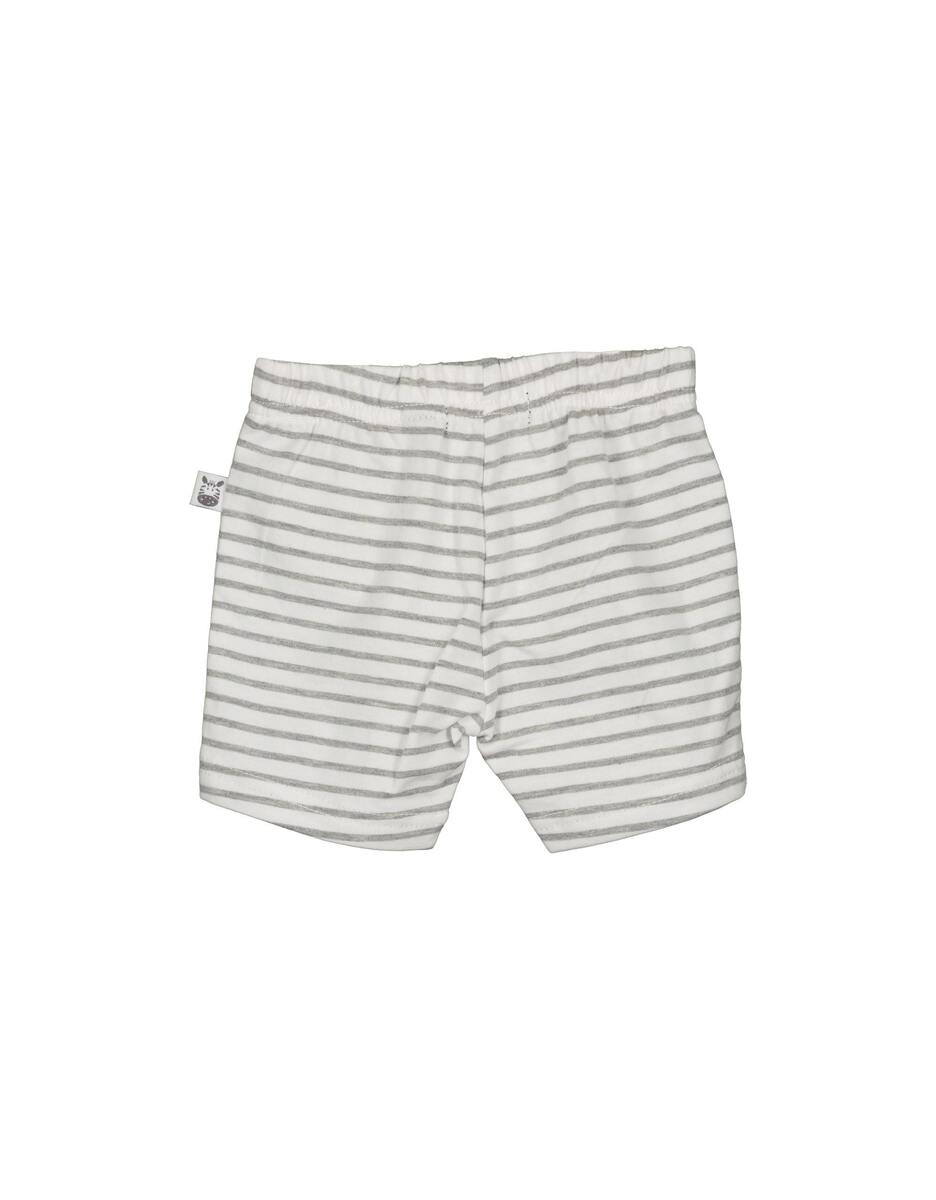 Bild 3 von Blue Seven - New Born Baby Boys Set T-Shirt mit Short