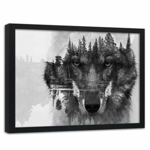 Feeby Bild im schwarzen Rahmen, grauer Wolf HORIZONTAL, 90x60