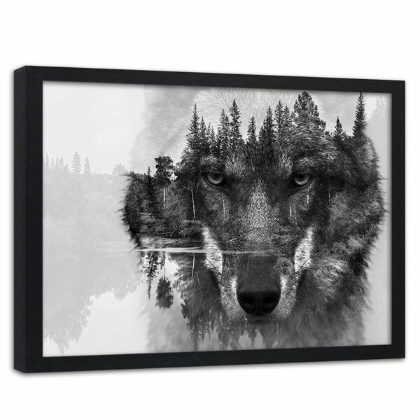 Bild 1 von Feeby Bild im schwarzen Rahmen, grauer Wolf HORIZONTAL, 90x60