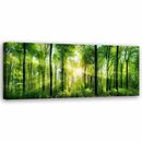 Bild 1 von Feeby Leinwand, Sunshine in the forest, 120x40