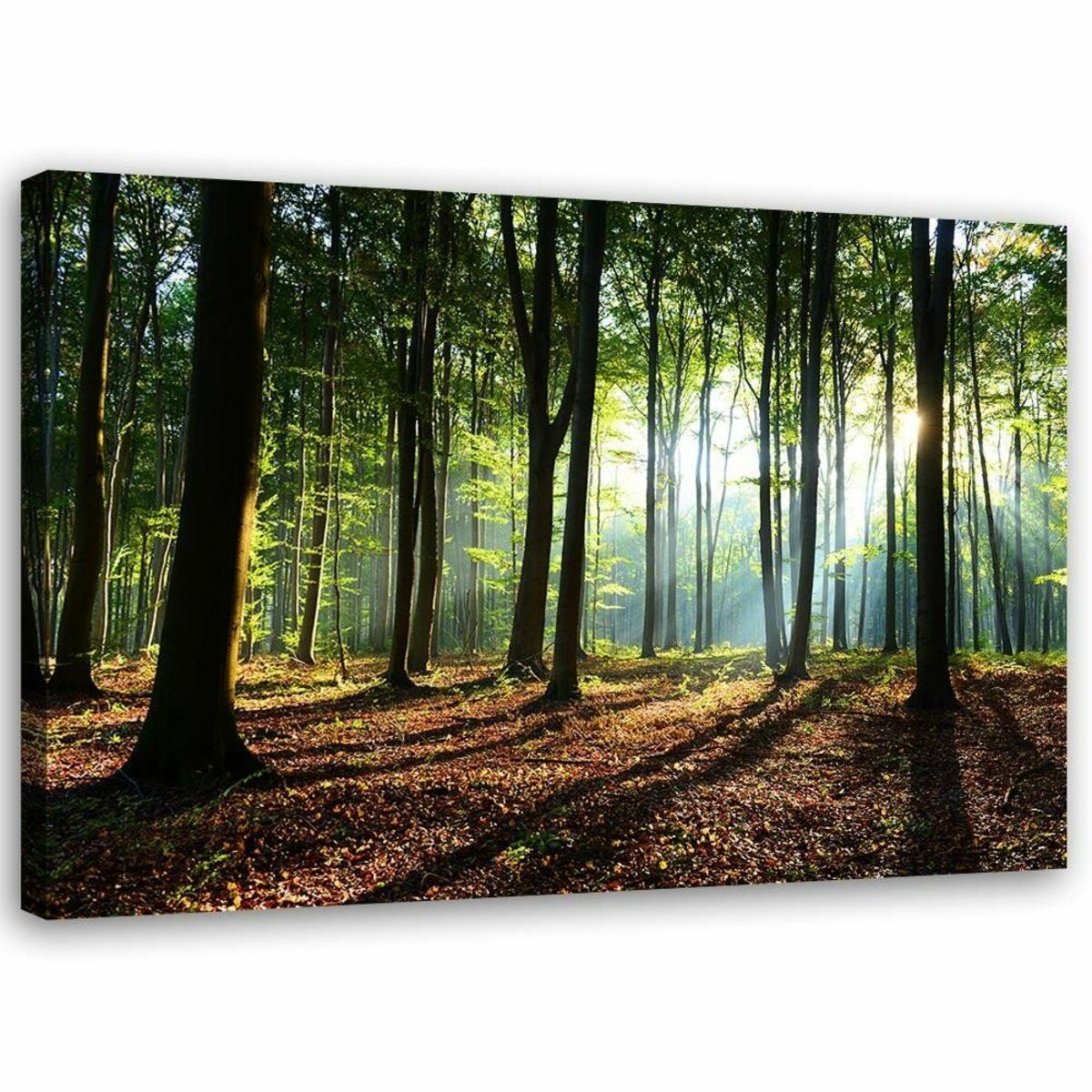 Bild 1 von Feeby Leinwand, grüner Wald HORIZONTAL, 60x40