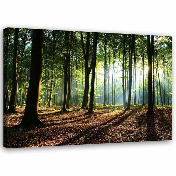 Bild 1 von Feeby Leinwand, grüner Wald HORIZONTAL, 90x60