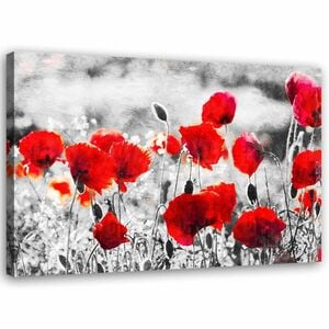 Feeby Leinwand, Mohnblumen 2 HORIZONTAL, 90x60