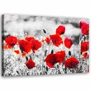 Bild 1 von Feeby Leinwand, Mohnblumen 2 HORIZONTAL, 90x60