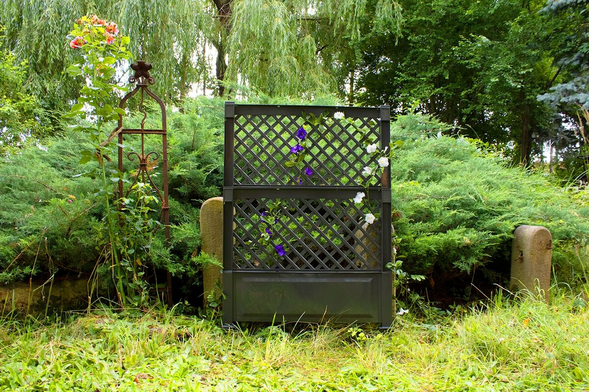 Bild 1 von Spalier 100 cm mit Erdspieß, anthrazit