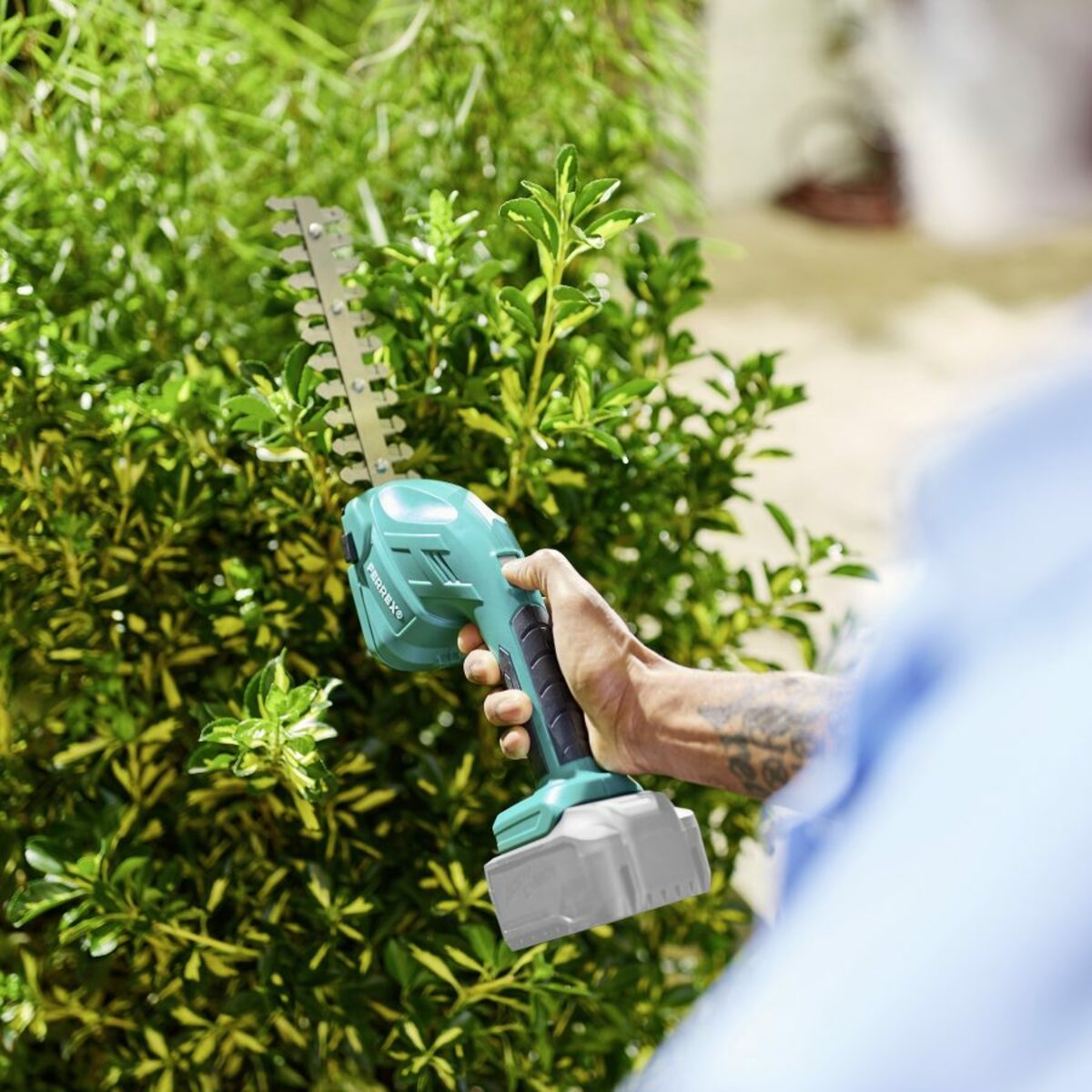 Bild 2 von FERREX 20-V-Akku-Gras-und-Strauchschere