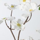 Bild 4 von SMYCKA  Künstlicher Zweig, drinnen/draußen/Hartriegel blühend weiß