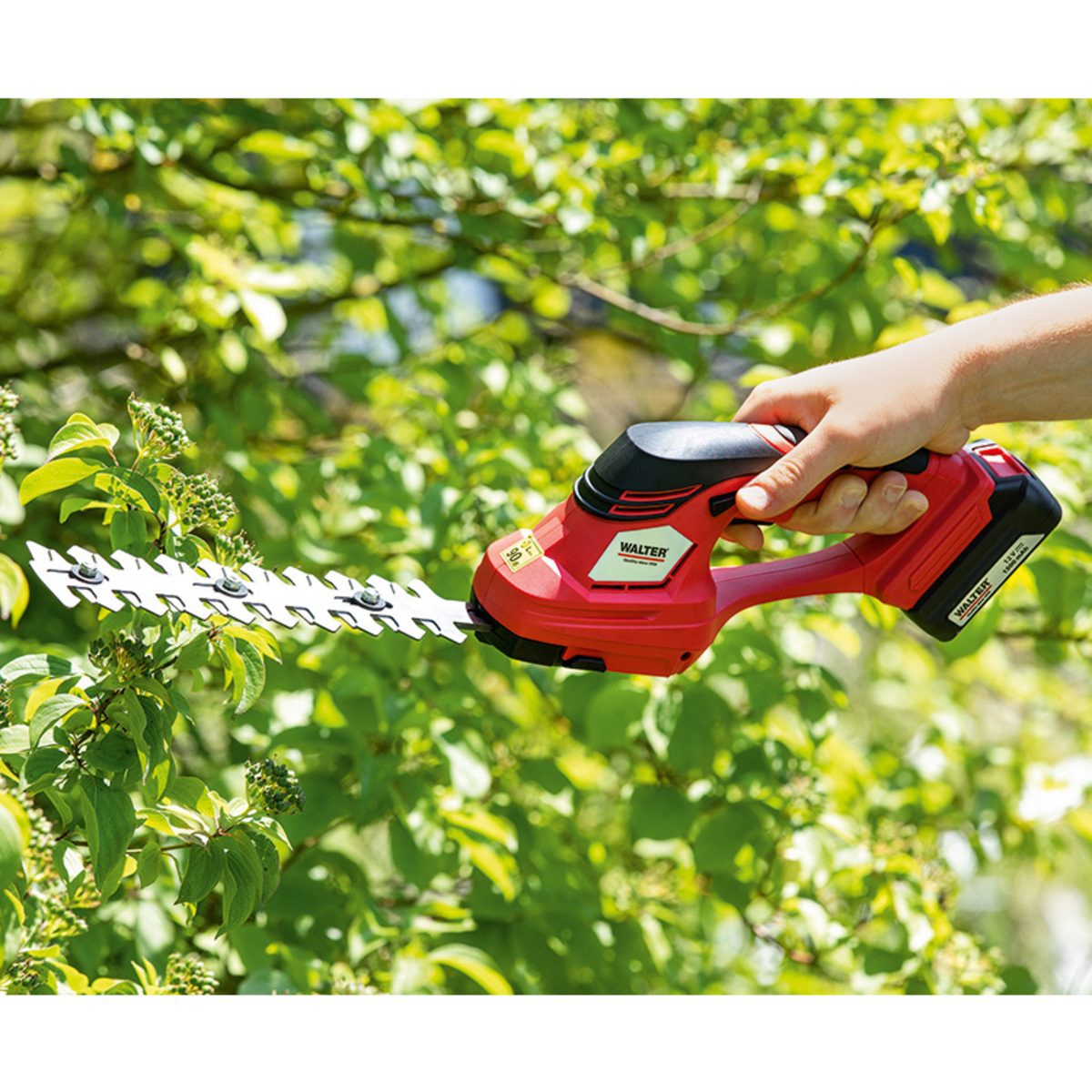 Bild 1 von Walter Li-Ion Akku Gras- und Strauchschere
