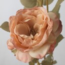 Bild 3 von SMYCKA  Kunstblume, drinnen/draußen/Rose goldbraun