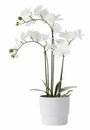 Bild 2 von Kunstpflanze MATINUS H62cm m/Blumen