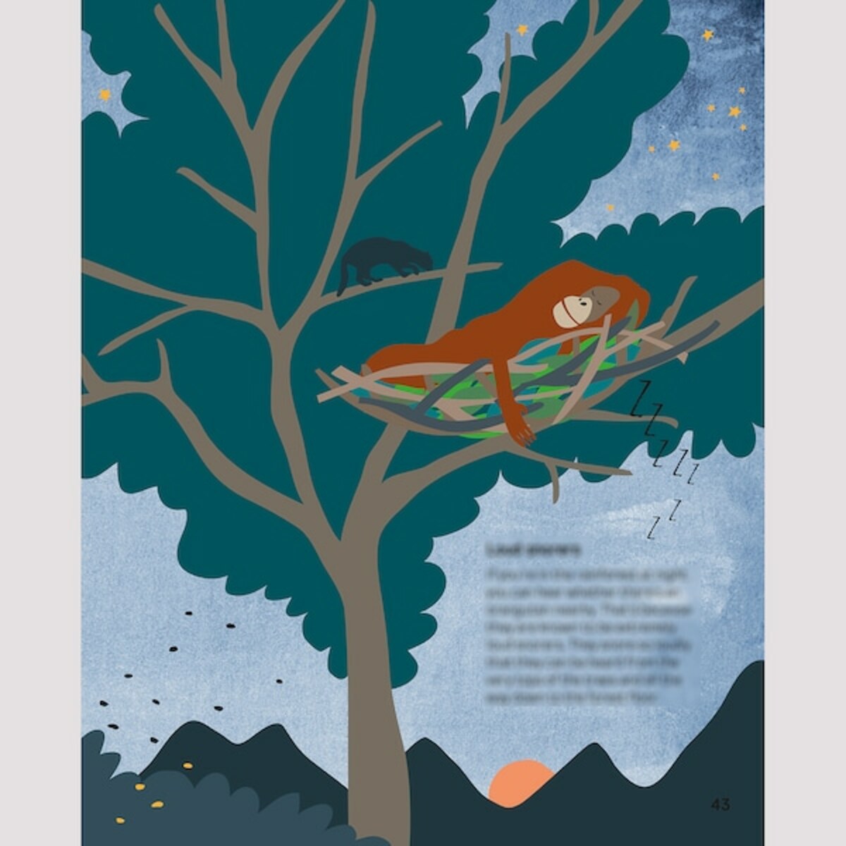 Bild 4 von URSKOG  Buch