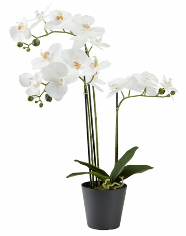 Bild 1 von Kunstpflanze MATINUS H62cm m/Blumen