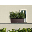 Bild 4 von LECHUZA® Blumenkasten Trio Cottage, rechteckig, 100 x 32 x 34 cm