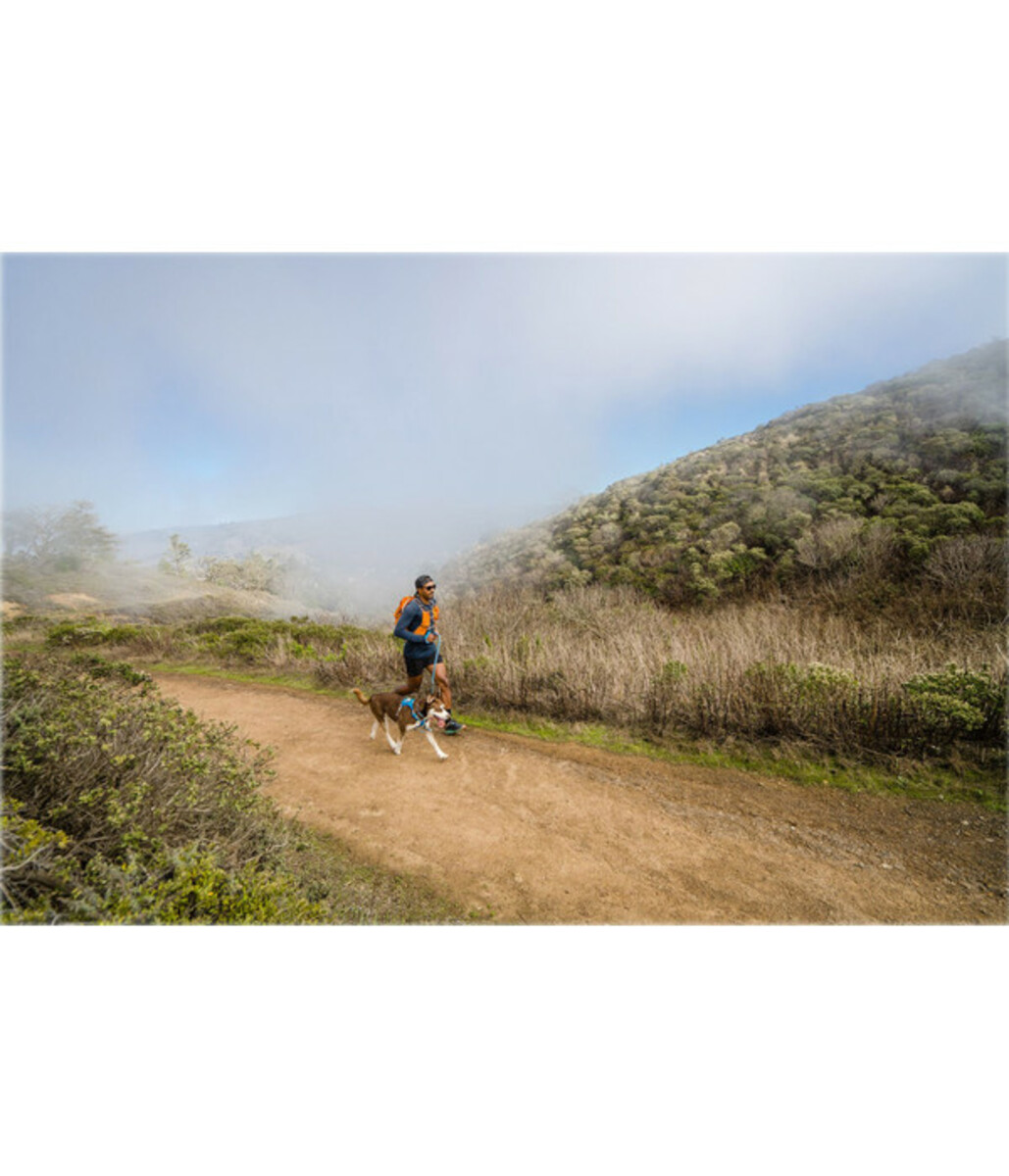 Bild 3 von RUFFWEAR® Hundegeschirr Hi & Light™ Harness 2.0 Blue Dusk