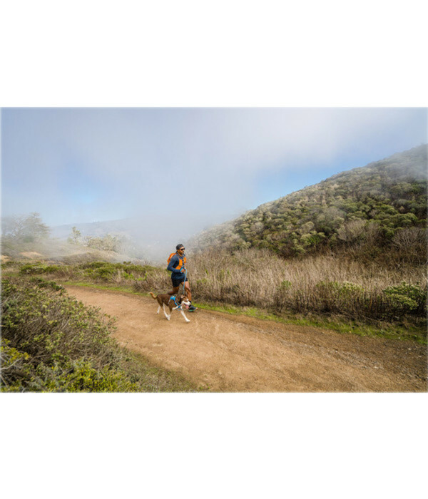 Bild 3 von RUFFWEAR® Hundegeschirr Hi & Light™ Harness 2.0 Blue Dusk