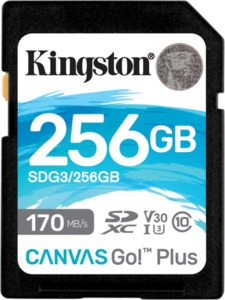 Kingston Canvas Go Plus 256 GB SDXC