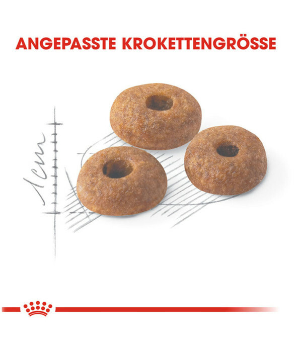Royal Canin Trockenfutter Für Bengalkatzen – Speziell Für Erwachsene Bengal-Katzen, 3,2 Kg Beutel