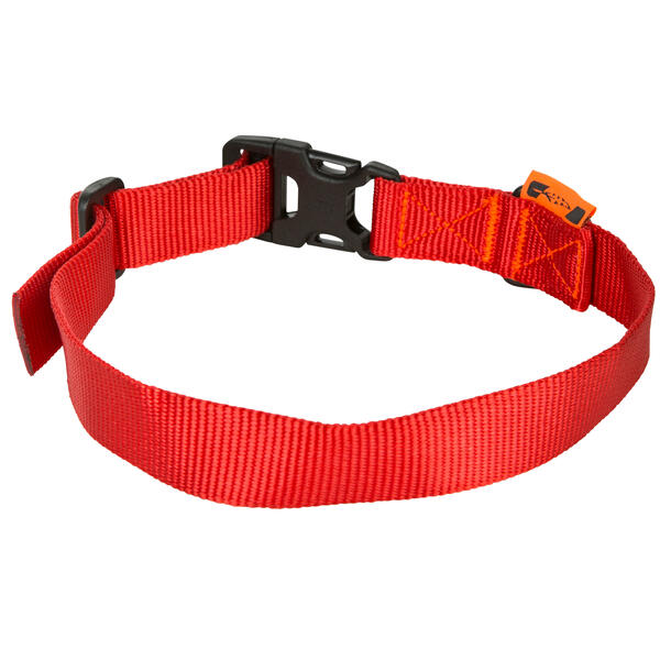 Bild 1 von Hundehalsband 100 rot