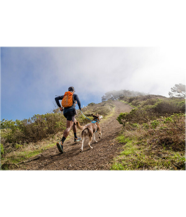 Bild 2 von RUFFWEAR® Hundegeschirr Hi & Light™ Harness 2.0 Blue Dusk