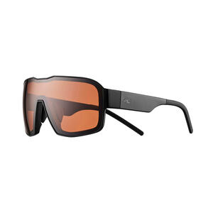 Skibrille Snowboardbrille Schönwetter - F2 100 schwarz