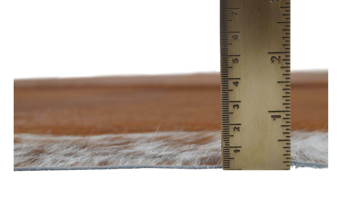 Bild 3 von Rinderfell Muh