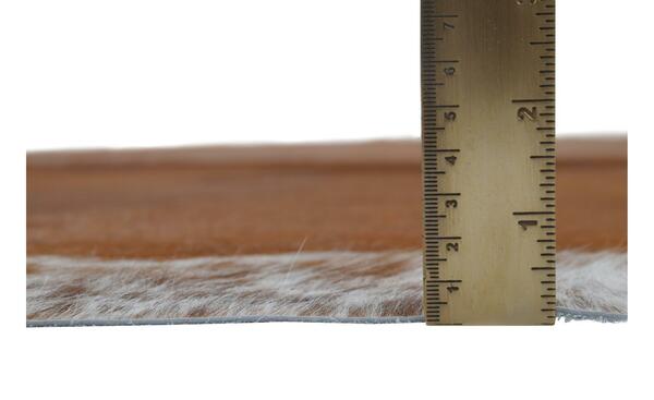 Bild 3 von Rinderfell Muh