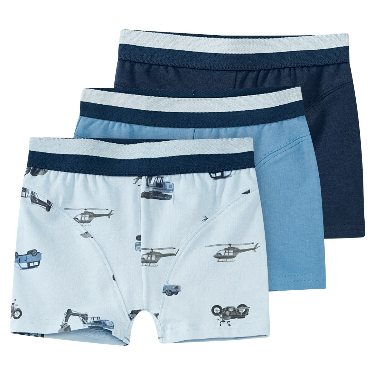 Bild 1 von 3 Jungen Boxer in verschiedenen Farben