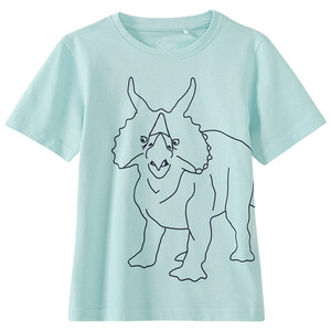 Jungen T-Shirt mit Dinosaurier-Print